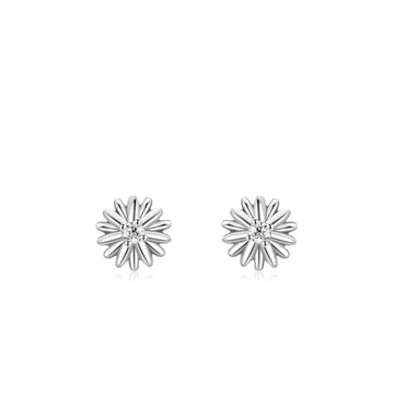 925 real silver earrings